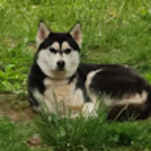 Meet your Posher, Mylene